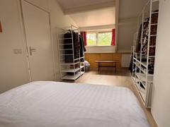 IMG_1393.jpeg