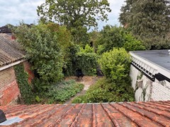 IMG_1395.jpeg