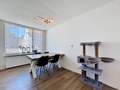 koninginnestraat_00008.jpg