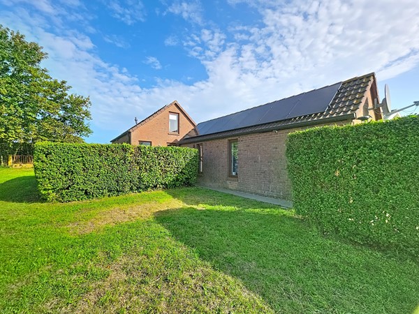 zandertje-buiten_00008.jpg
