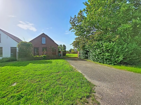 zandertje-buiten_00001.jpg