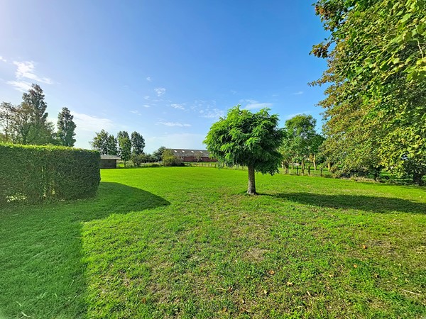 zandertje-buiten_00005.jpg