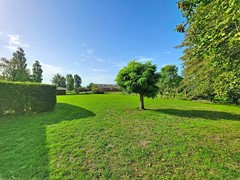 zandertje-buiten_00005.jpg