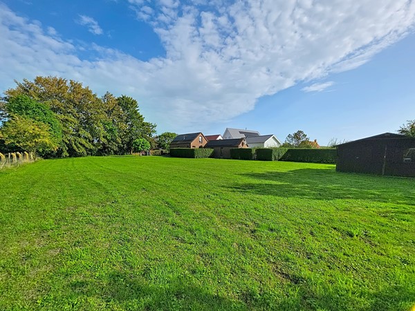 zandertje-buiten_00007.jpg