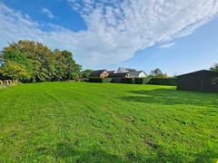 zandertje-buiten_00007.jpg