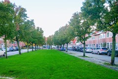 02 Crocusstraat 49.jpg