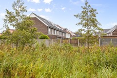 Notenhout 4 (42).jpg