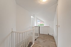 Middelzand 5718 (18).jpg