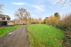 Kruiszwin 3804-33 .jpg