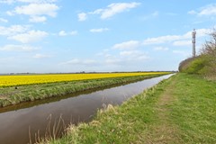 highres_Kastanjehout 48-36.jpg