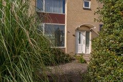 jawentel22-04.jpg