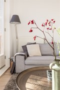 New for rent: Theo Frenkelhof 96, 1087 KD Amsterdam