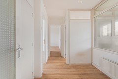 Paltrokstraat-14.jpg