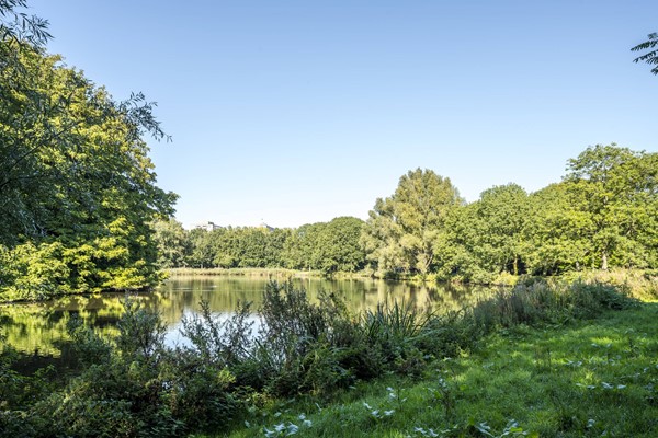 Medium property photo - Theodoor van Hoytemastraat 51, 1062 CG Amsterdam