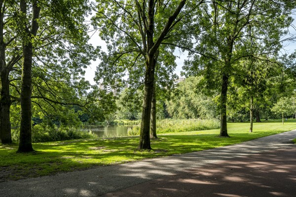 Medium property photo - Theodoor van Hoytemastraat 51, 1062 CG Amsterdam