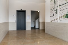 05.jpg