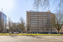 149A2593.jpg