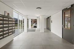 149A4175.jpg