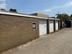 IMG_6842.jpg