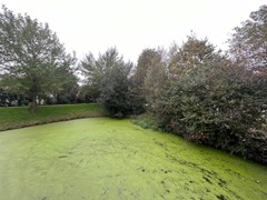 54.jpg