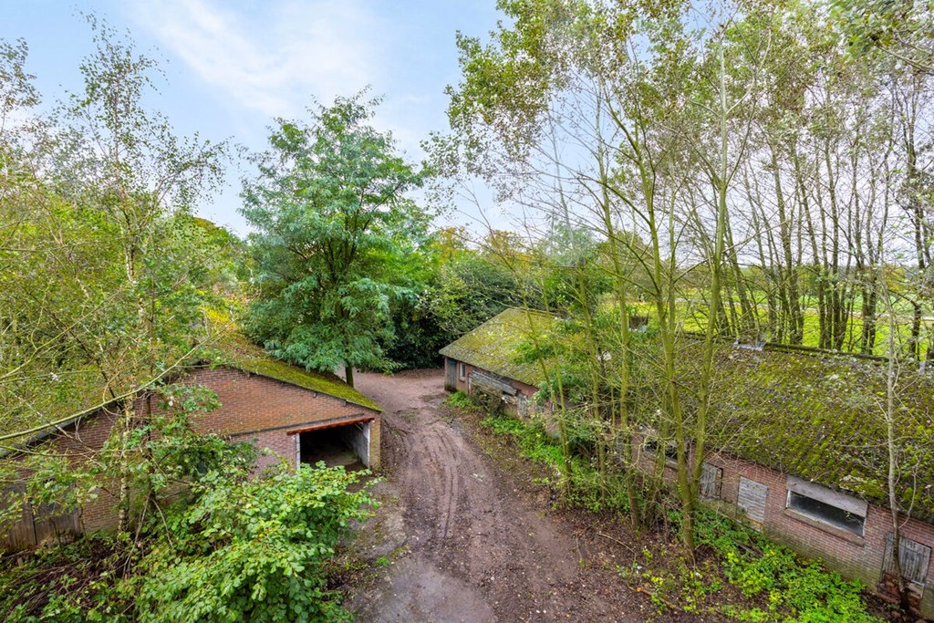 Beerseweg20Diessen46.jpg Beerseweg20Diessen46.jpg