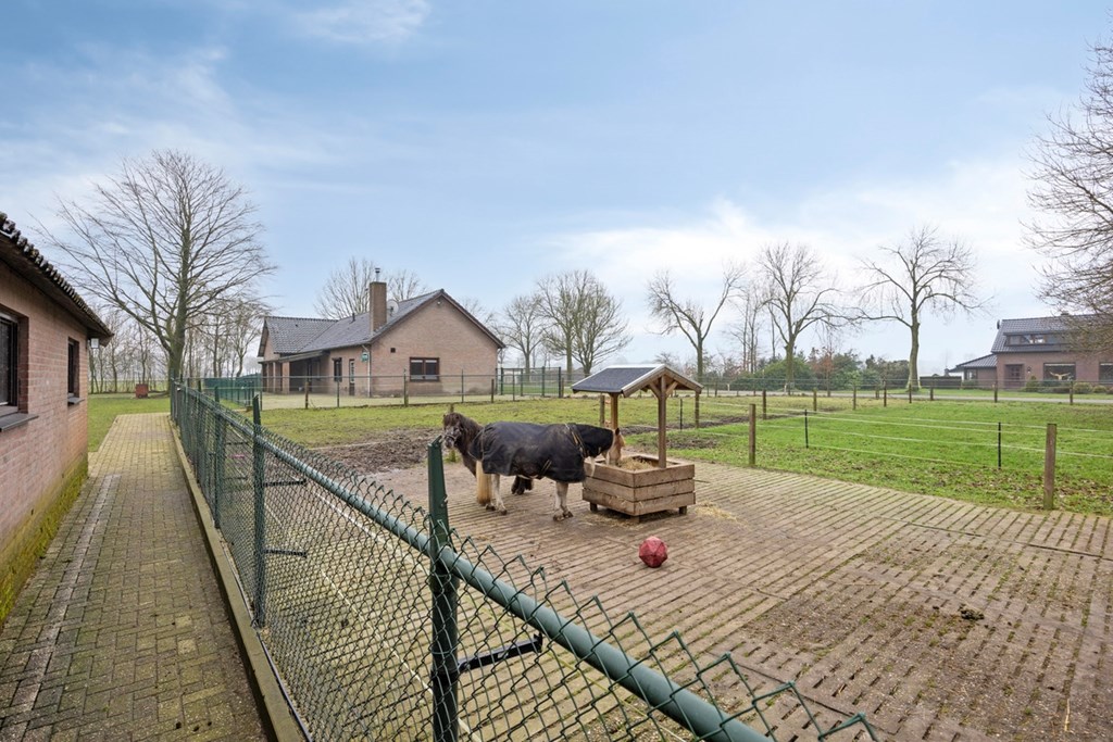 DeRiet4NederweertEind13.jpg DeRiet4NederweertEind13.jpg