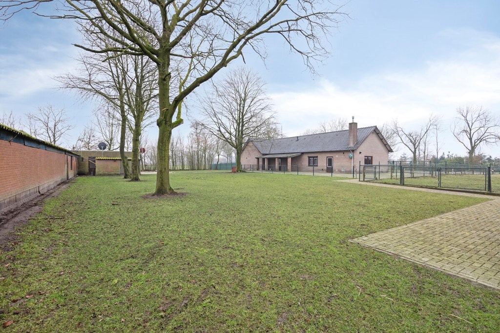 DeRiet4NederweertEind19.jpg DeRiet4NederweertEind19.jpg