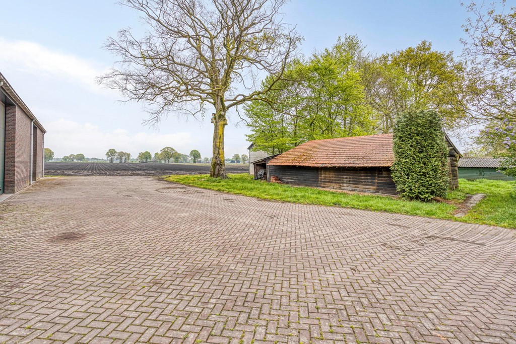 Oostelbeersedijk125513NXWintelre-61.jpg Oostelbeersedijk125513NXWintelre-61.jpg