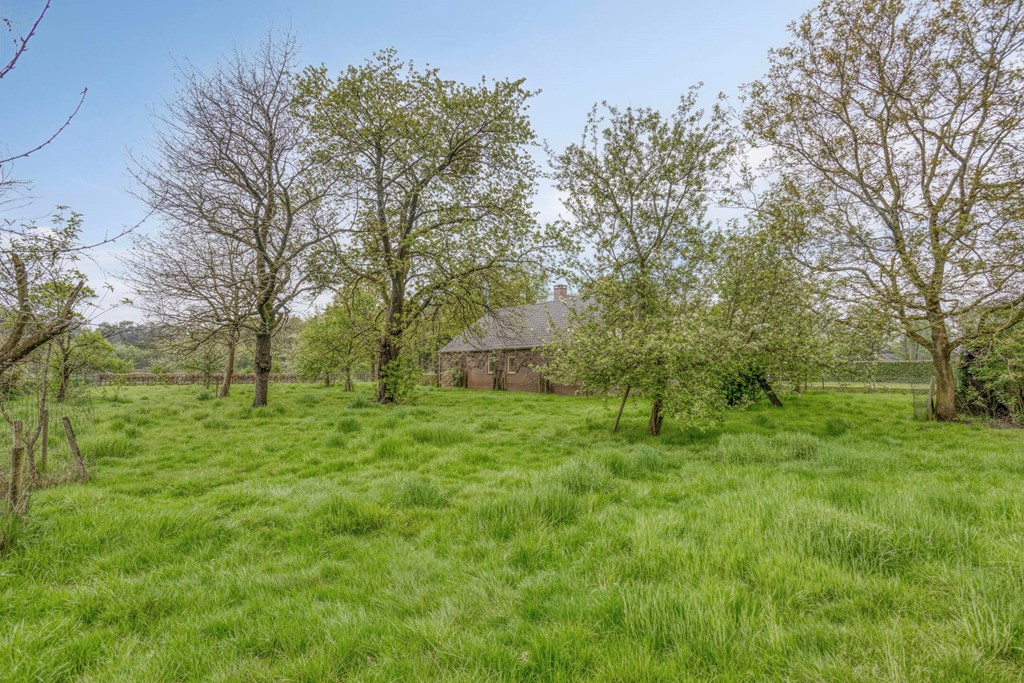 Oostelbeersedijk125513NXWintelre-68.jpg Oostelbeersedijk125513NXWintelre-68.jpg