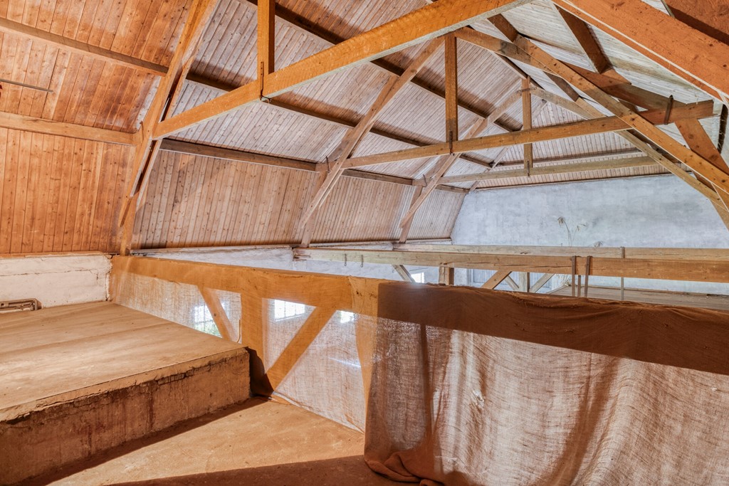 Eikenbussel315689AAOirschot-38.jpg Eikenbussel315689AAOirschot-38.jpg