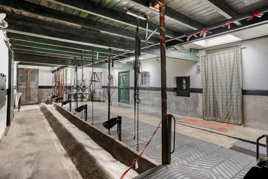 Eikenbussel315689AAOirschot-47.jpg Eikenbussel315689AAOirschot-47.jpg