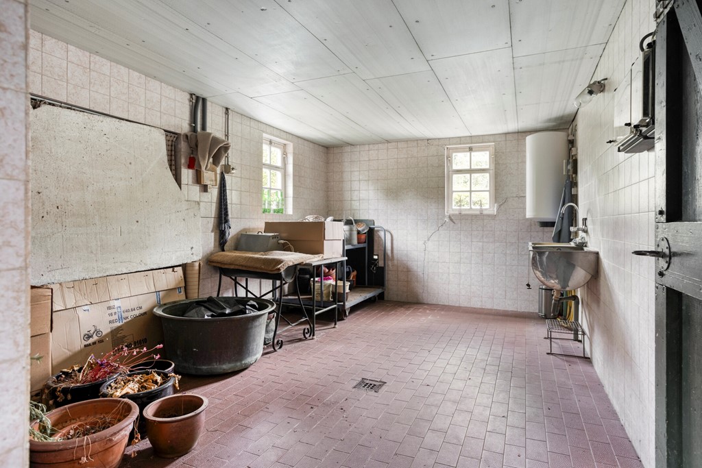 Eikenbussel315689AAOirschot-50.jpg Eikenbussel315689AAOirschot-50.jpg