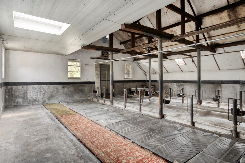 Eikenbussel315689AAOirschot-52.jpg Eikenbussel315689AAOirschot-52.jpg