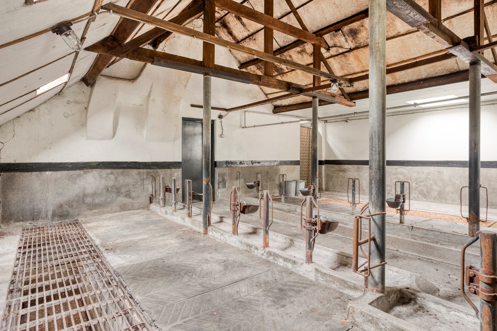 Eikenbussel315689AAOirschot-53.jpg Eikenbussel315689AAOirschot-53.jpg