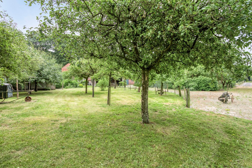 Eikenbussel315689AAOirschot-54.jpg Eikenbussel315689AAOirschot-54.jpg