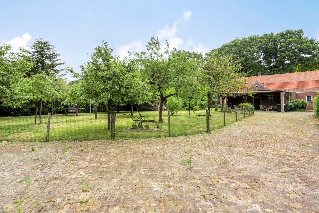 Eikenbussel315689AAOirschot-55.jpg Eikenbussel315689AAOirschot-55.jpg