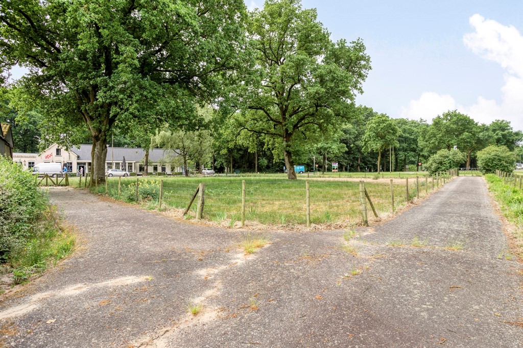 Eikenbussel315689AAOirschot-57.jpg Eikenbussel315689AAOirschot-57.jpg