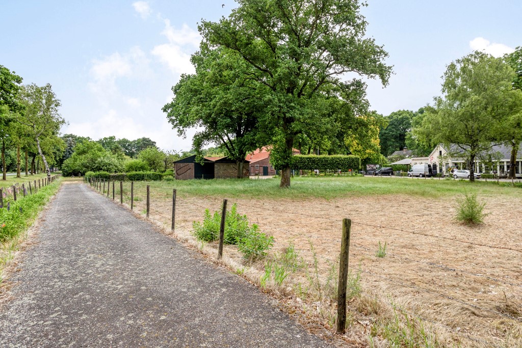 Eikenbussel315689AAOirschot-58.jpg Eikenbussel315689AAOirschot-58.jpg