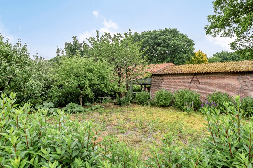 Eikenbussel315689AAOirschot-59.jpg Eikenbussel315689AAOirschot-59.jpg