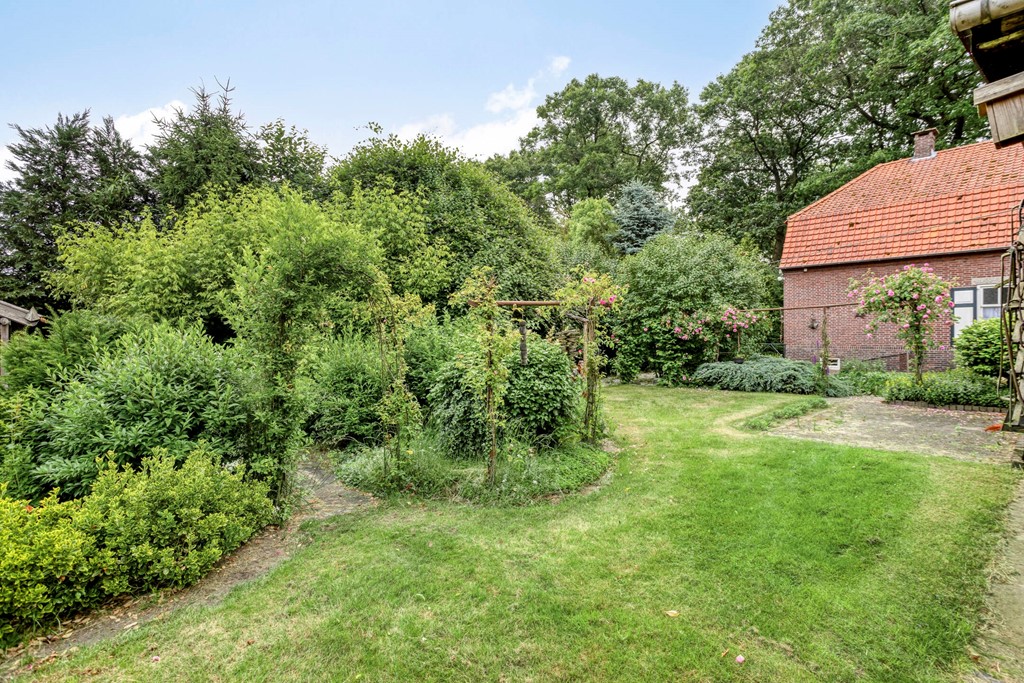 Eikenbussel315689AAOirschot-61.jpg Eikenbussel315689AAOirschot-61.jpg