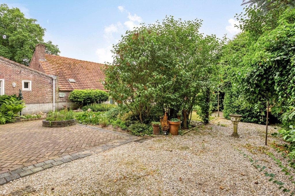 Eikenbussel315689AAOirschot-64.jpg Eikenbussel315689AAOirschot-64.jpg