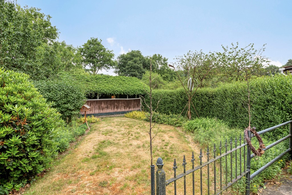 Eikenbussel315689AAOirschot-66.jpg Eikenbussel315689AAOirschot-66.jpg