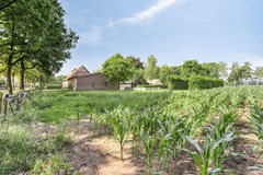 Bolst215469SCErpNL-64.jpg