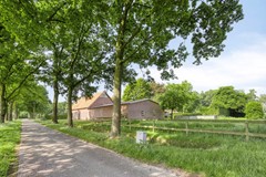 Bolst215469SCErpNL-78.jpg