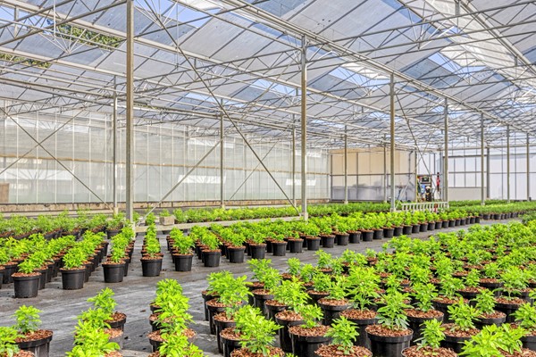 Medium property photo - Randweg-Oost 19, 6021 PA Budel