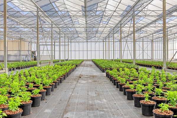 Medium property photo - Randweg-Oost 19, 6021 PA Budel