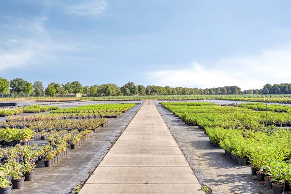 Medium property photo - Randweg-Oost 19, 6021 PA Budel