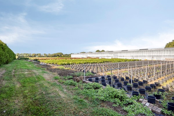 Medium property photo - Randweg-Oost 19, 6021 PA Budel