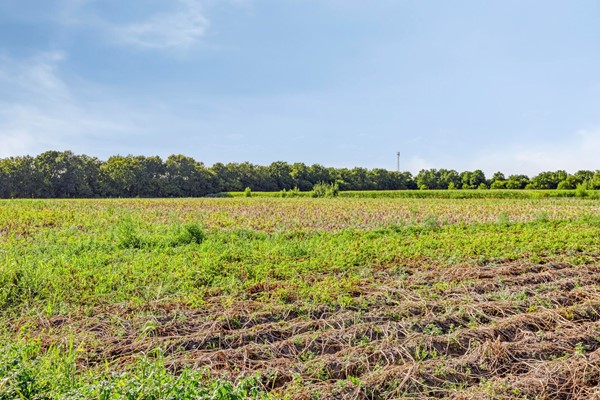 Medium property photo - Randweg-Oost 19, 6021 PA Budel