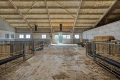 DeOmloop105254TJHaarsteeg-21.jpg